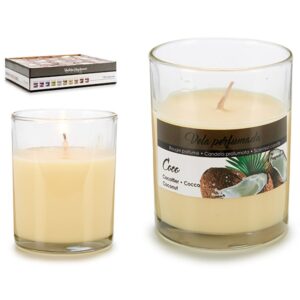Vela Perfumada Coco (7 x 8,3 x 7 cm)