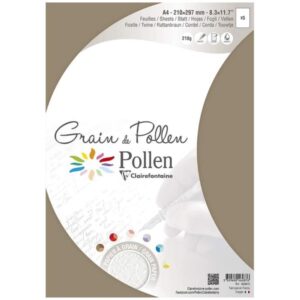 Cartolinas Clairefontaine 46287C (5 pcs) (Refurbished A+)