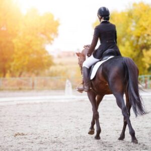 Desporto equestre