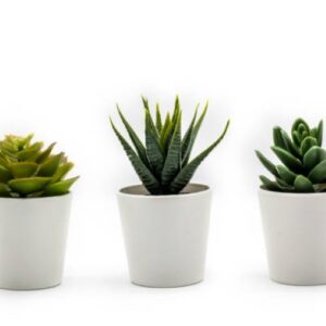 Outros artigos de decoração