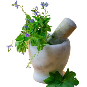 Utensílios e acessórios de cozinha